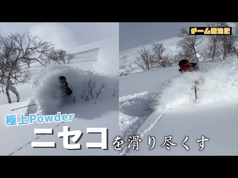 【ニセコ】超パウダー天国！