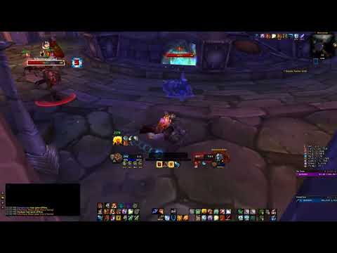 Elemental Shaman - WotLK Naxx 10 - Trash Farm for The Stray