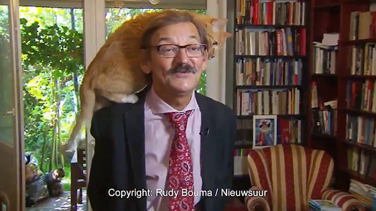 Hilarious moment politics professor's cat interrupts live TV interview by leaping on his HEAD