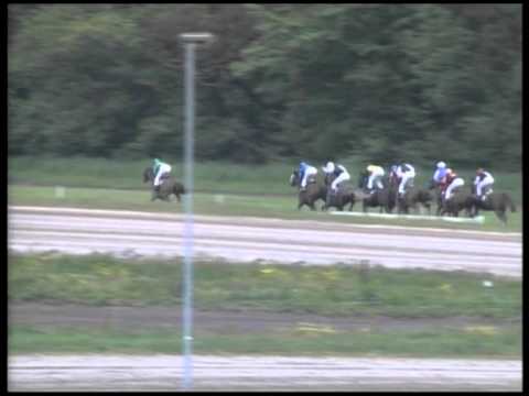 Duindigt 3 Juni 2012 Koers 3