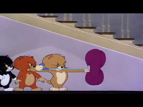 Tom and the triplet cat (Sound Effect)