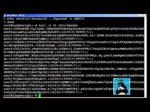 LPIC-1 102 Customize and Write Simple Scripts