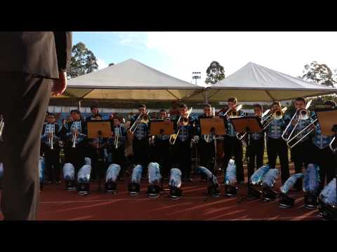 Fama tocando Trem das onze em Caieiras 2013.mp4