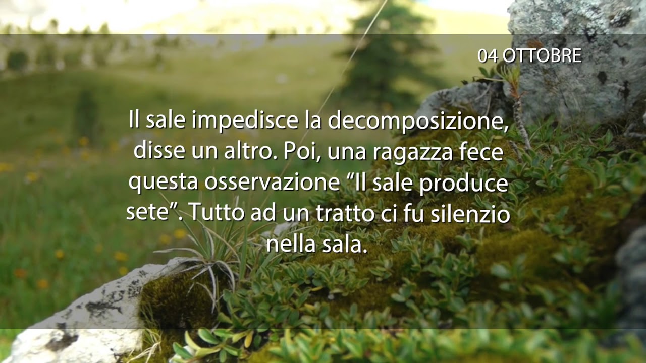 Meditazione del 04 Ottobre 2018 “SIETE IL SALE DELLA TERRA”