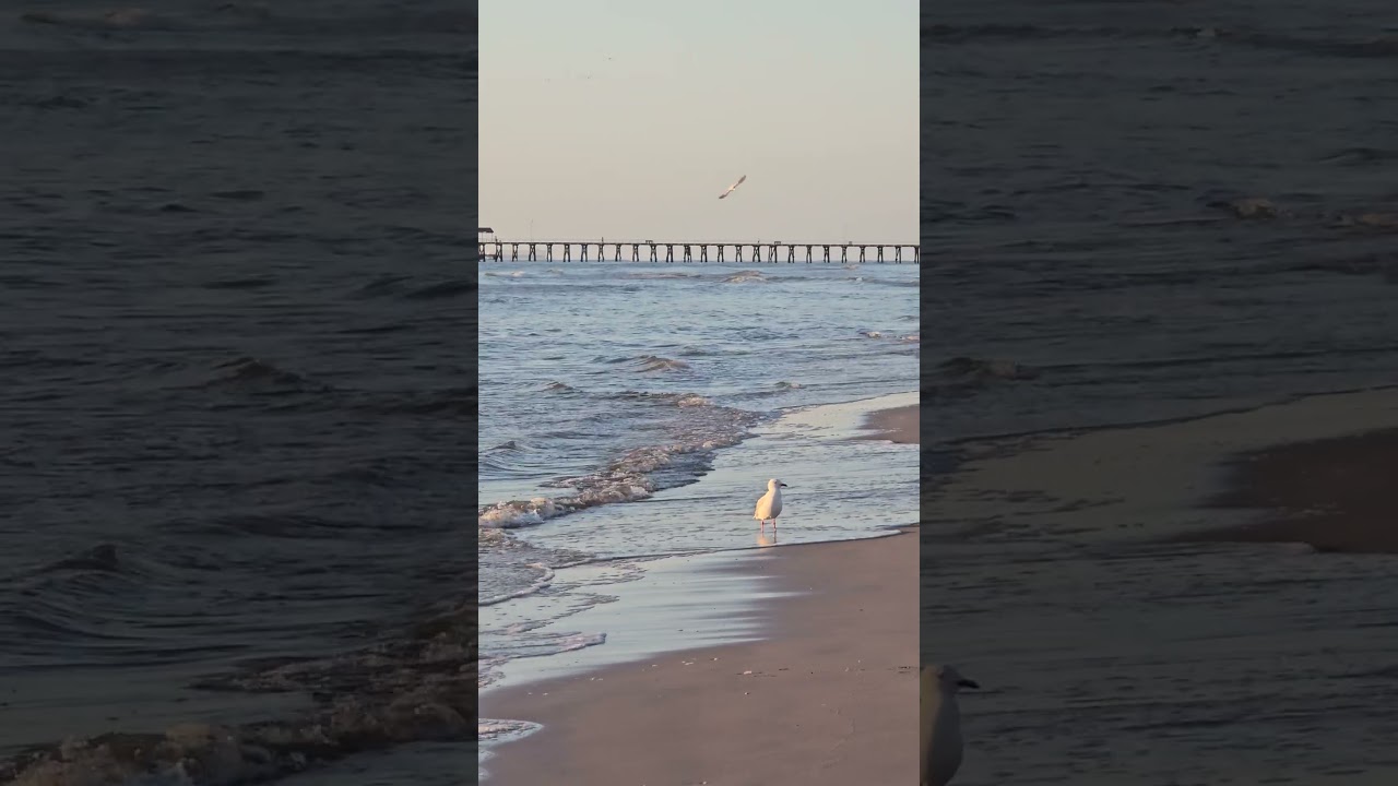 YouTube Short thumbnail