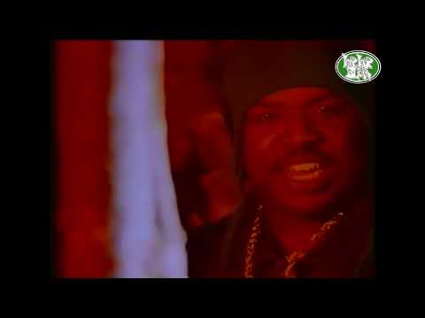 Diamond D & The Psychotic Neurotics "What You Heard" (1992 Chemistry)