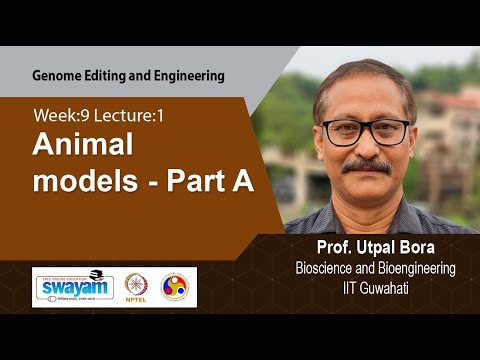 Genome Editing and Engineering Intro Video