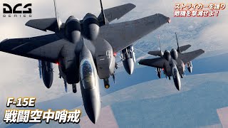 【DCS Coop】F-15Eで敵戦闘機を撃滅し、友軍に爆撃をしてもらう動画【F-15E】