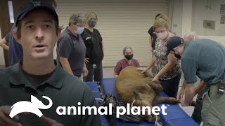 Thumbnail del capítulo