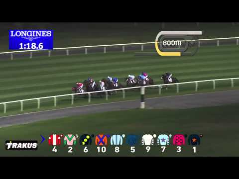 19.02.2015 Meydan (Dubai/UAE) 4.Race Dubai Millennium Stakes - List 2.000 m