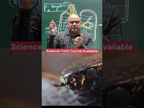 How Snake Kills / Cobra Venom  #scienceandtechnology #dharmendrasir #education #upsc #statepcs