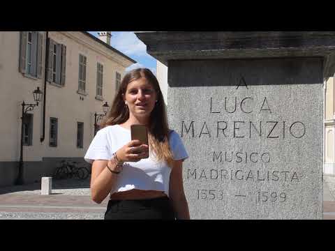 The best of Coccaglio e Cologne