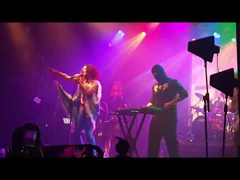 Ninja Sex Party - NSP Theme Song - Live 20th Oct. 2019 @ Electric Ballroom