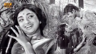 Download lagu உன்னை தொட்ட காற்று வந்து பாடல் HD | நவகிரகம் | சிவகுமார் லட்சுமி | Spb | P. Susheela mp3 Download lagu உன்னை தொட்ட காற்று வந்து பாடல் HD | நவகிரகம் | சிவகுமார் லட்சுமி | Spb | P. Susheela mp3