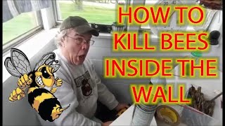 How To Kill Bees Living Inside Your Wall.