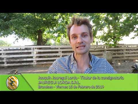 15-02-19 - Joaquín Jauregui Lorda - Consignatario - Jauregui Lorda S.R.L. -  Brandsen