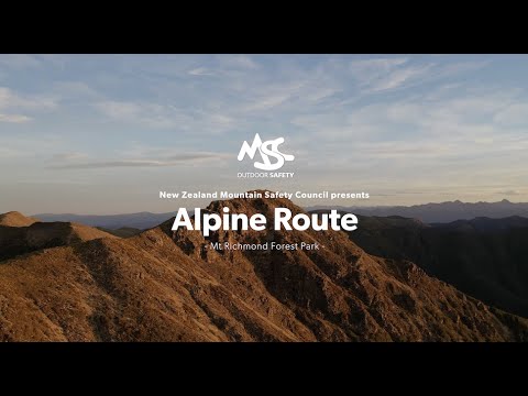 image-What is the meaning of alpine route?