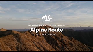 The Alpine Route in Mt Richmond Forest Park is considered by many to be the toughest part of the Te Araroa trail. It makes up just one section of the larger Richmond Ranges section from Pelorus Bridge to St Arnaud,.