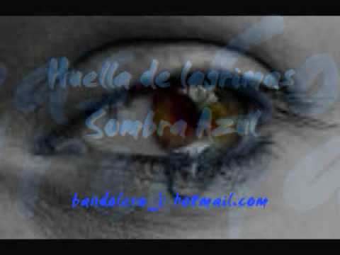 Huellas De Amor - El Gato Felix Navarro