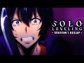 A Solo Leveling Season 1 Recap