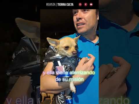 Fiesta de las Estrellas 2026 en Copiapó