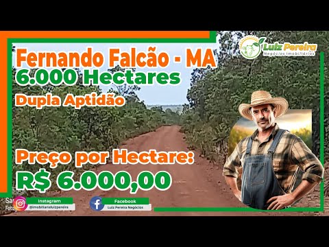 Fazenda em Fernando Falcão MA  6.000 Hec , D aptidão, espetacular para agricultura,reserva legal 35%