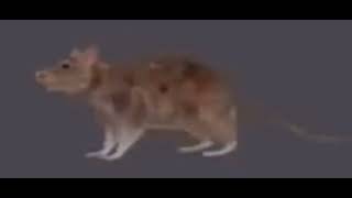 Cover art for Gangman style