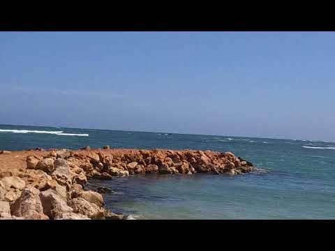 Beautiful Jamaican Beach | Hellshire | Scenic Views