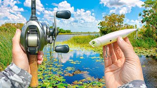 Hunting Down GIANT Bass In EXTREME Summer Heat (Big Bites)