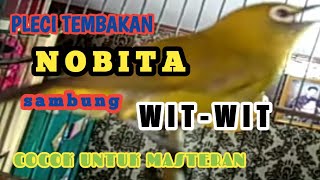 Download lagu Pleci tembakan NOBITA sambung wit wit pleci nobita....mp3