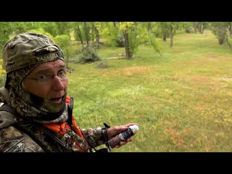 Jackie Bushman of Buckmasters uses Tink's #1 Doe-P Fogger in early season - he'll tell you why!