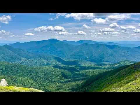 Guided Meditation: Living Presence, Awakening with a Smile - Tara Brach