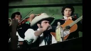 !Ay Amigo que crees que paso 🍺💔Vicente Fernández