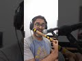 Melliname Melliname Flute Cover Raghesh