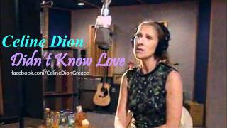 Celine Dion - Didn&#39;t Know Love (New Song Preview 2012)