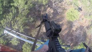 Don’t mess with Texas 2020