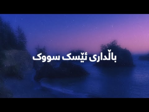 Najmadin Ghulami - Baldary Esk Suk (Lyrics) | نەجمەدین غوڵامی - باڵداری ئێسک سووک