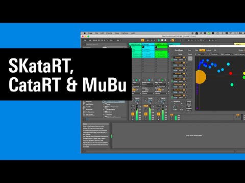 The Power of SKataRT, CataRT & MuBu