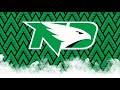 University of North Dakota Fighting Hawks Goal Horn NCAA 19-20