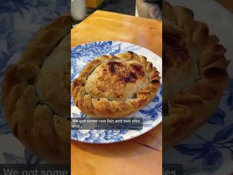 The BEST PIE in Auckland, NZ!?