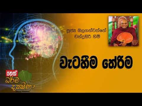 Darma Dakshina 2019.02.11 - Olaganwatthe Chandrasiri Himi