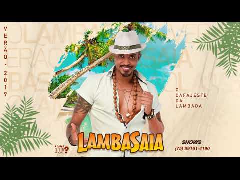 Lambasaia - Levar fumo