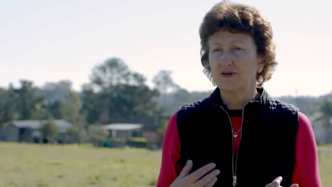 John Pierobon Grandland Real Estate Edmondson Park