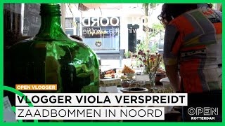 Viola verspreidt zaadbommen in Oude Noorden: ‘Minder beton, meer bijen’