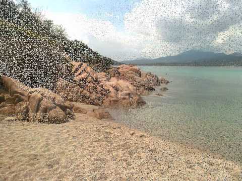 questa canzone è per te....wmv