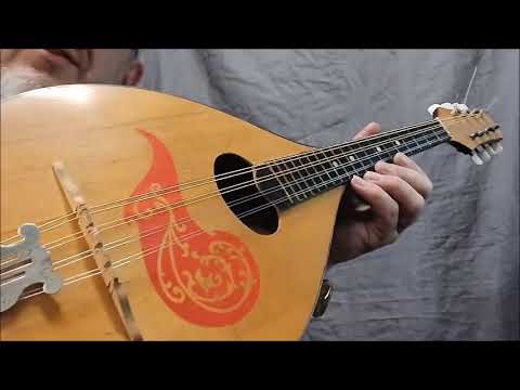 MANDOLINA - pierwsze kroki w nauce cz.1