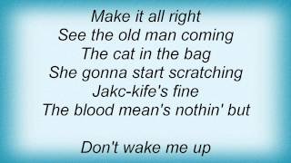 Black Crowes - Don&#39;t Wake Me Lyrics_1