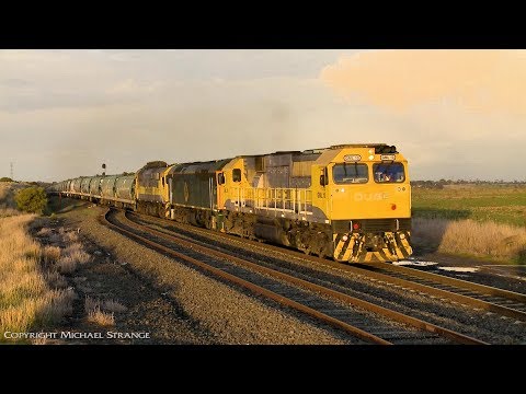 7761V QUBE Grain Train With GML10, 8044 & 8030 - PoathTV Australian Railways