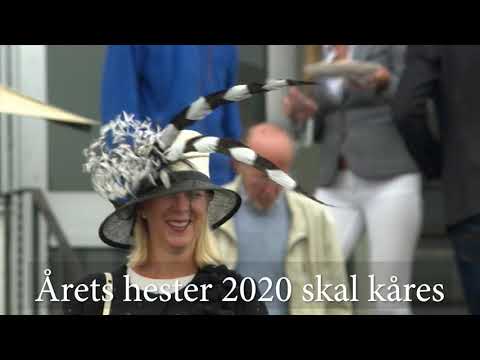 Oscar -årets hester 2020 promo