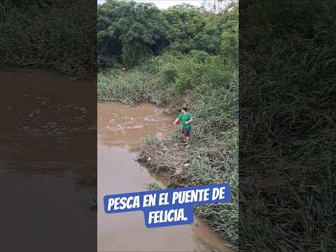 Pesca en el puente de Felicia Santa Fe. 🎣🐠🐟